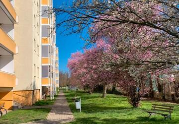 Wohnung Calbe (Saale) - 1 Zimmer, 33 m&sup2;, 220&euro; | Angebot:11817317