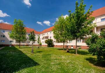 Wohnung Magdeburg Stadtfeld Ost - 3 Zimmer, 58 m&sup2;, 453&euro; | Angebot:27442871