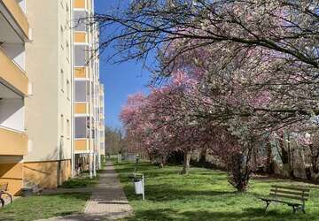 Wohnung Calbe (Saale) - 1 Zimmer, 33 m&sup2;, 220&euro; | Angebot:5912825