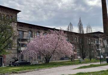 Wohnung Calbe Gottesgnaden - 2 Zimmer, 43 m&sup2;, 300&euro; | Angebot:22169448