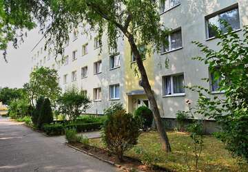 Wohnung Schönebeck Schönebeck-Salzelmen - 3 Zimmer, 57 m&sup2;, 320&euro; | Angebot:23698262