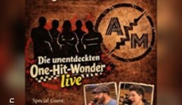 Die unentdeckten One - Hit - Wonder Live