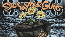 Stick To Your Guns